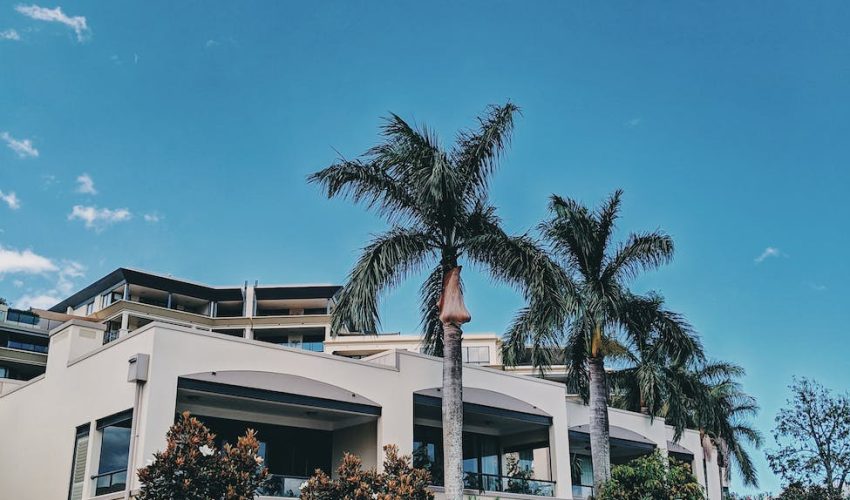 photo of palm trees and flowers near a building